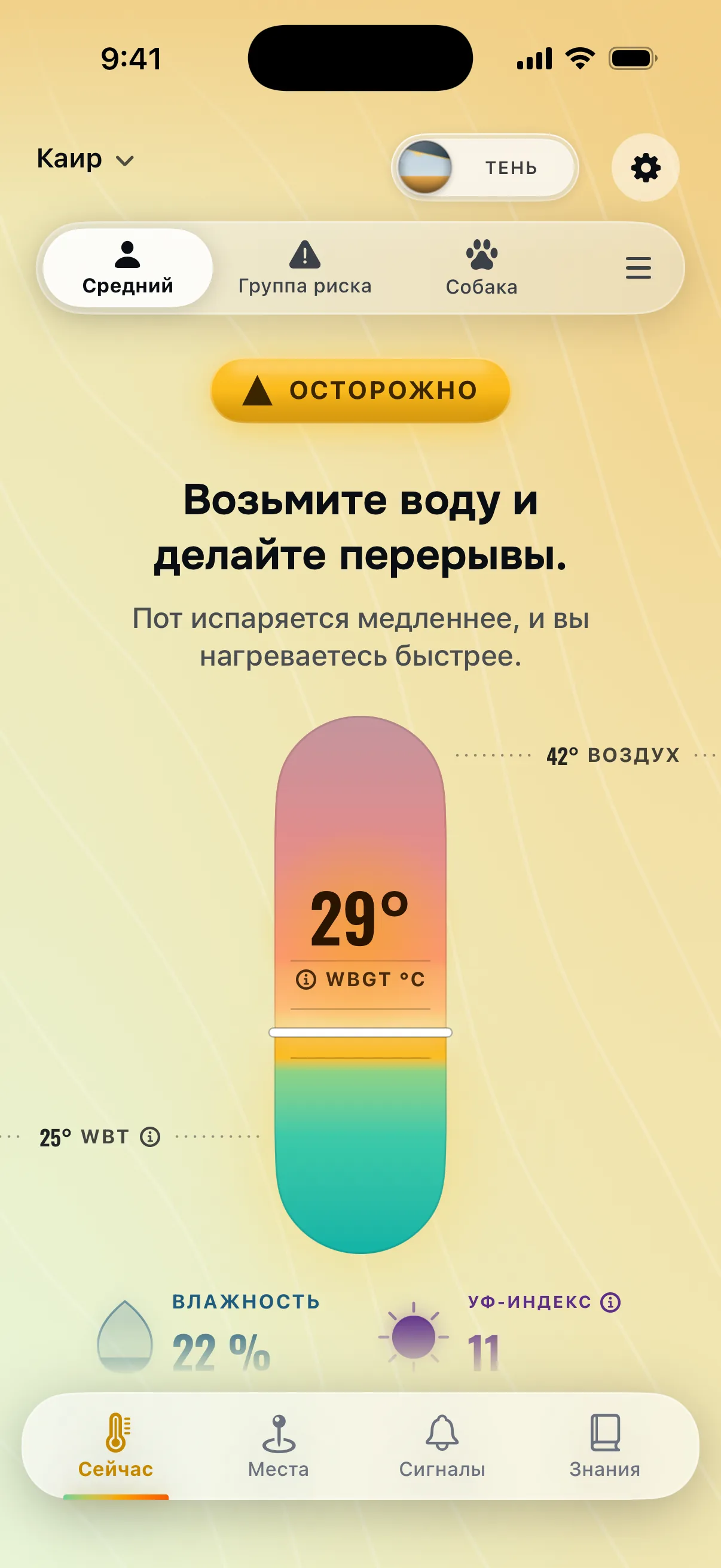 Тень